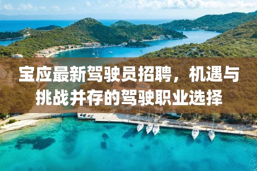 宝应最新驾驶员招聘，机遇与挑战并存的驾驶职业选择