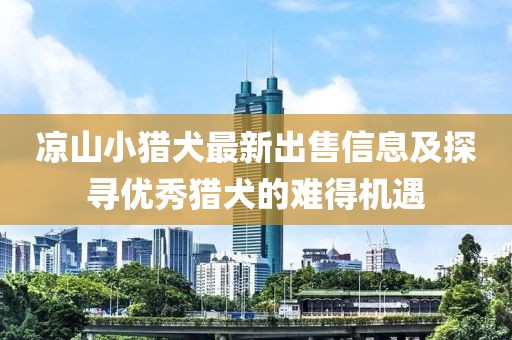 凉山小猎犬最新出售信息及探寻优秀猎犬的难得机遇