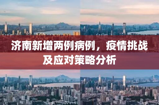 济南新增两例病例，疫情挑战及应对策略分析