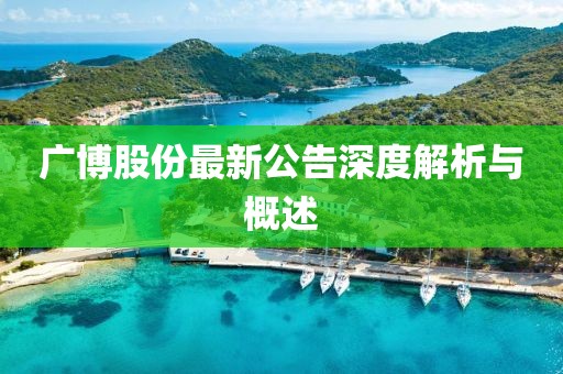 广博股份最新公告深度解析与概述