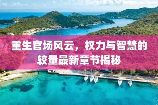 重生官场风云，权力与智慧的较量最新章节揭秘