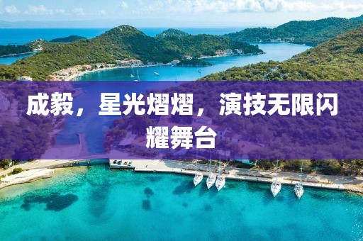 成毅，星光熠熠，演技无限闪耀舞台