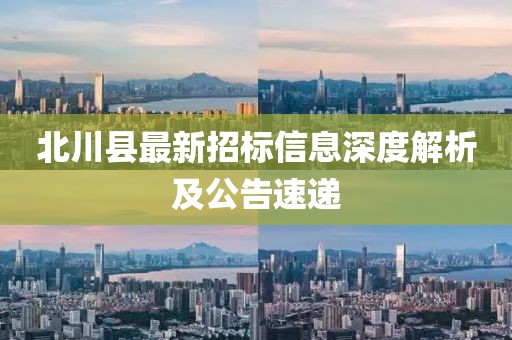 北川县最新招标信息深度解析及公告速递