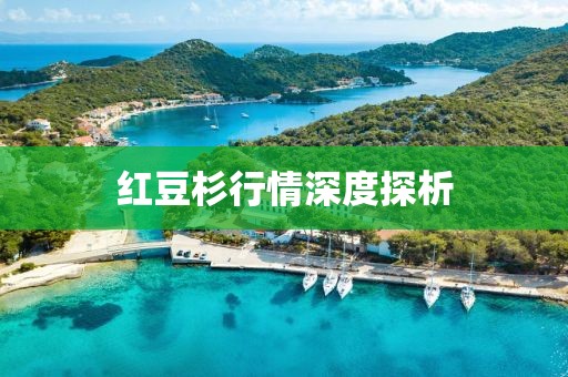 红豆杉行情深度探析