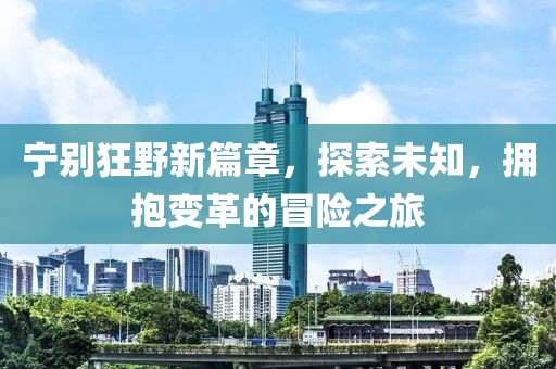 宁别狂野新篇章，探索未知，拥抱变革的冒险之旅
