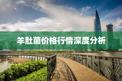 羊肚菌价格行情深度分析