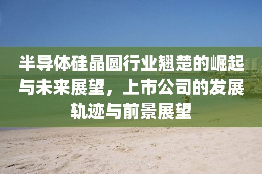 半导体硅晶圆行业翘楚的崛起与未来展望，上市公司的发展轨迹与前景展望
