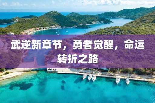 武逆新章节，勇者觉醒，命运转折之路
