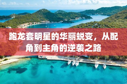 会员优选 第584页