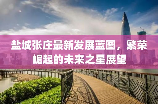 盐城张庄最新发展蓝图，繁荣崛起的未来之星展望