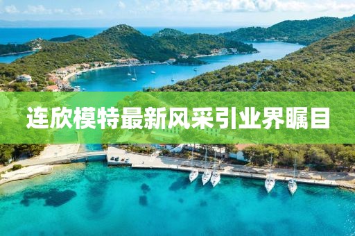 连欣模特最新风采引业界瞩目