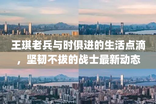 别再提起 第13页