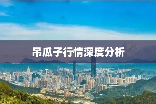 吊瓜子行情深度分析