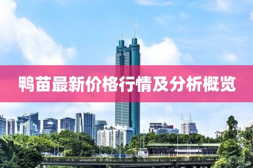 鸭苗最新价格行情及分析概览