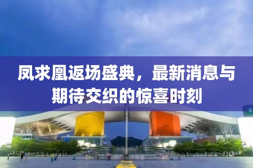 凤求凰返场盛典，最新消息与期待交织的惊喜时刻