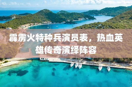 霹雳火特种兵演员表，热血英雄传奇演绎阵容