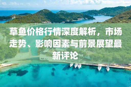 草鱼价格行情深度解析，市场走势、影响因素与前景展望最新评论