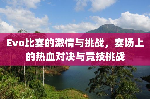 Evo比赛的激情与挑战，赛场上的热血对决与竞技挑战