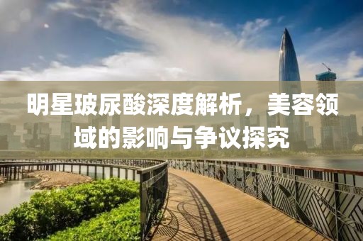 明星玻尿酸深度解析，美容领域的影响与争议探究