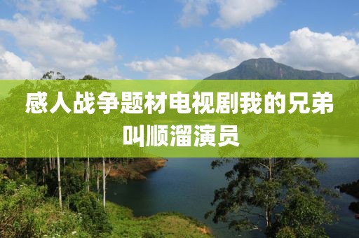 感人战争题材电视剧我的兄弟叫顺溜演员