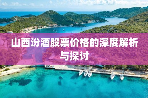 山西汾酒股票价格的深度解析与探讨