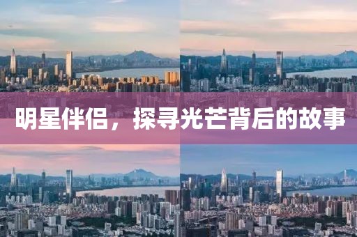 明星伴侣，探寻光芒背后的故事