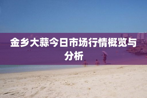 金乡大蒜今日市场行情概览与分析