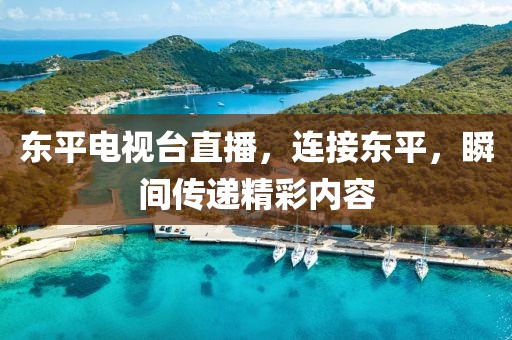 东平电视台直播，连接东平，瞬间传递精彩内容