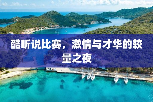 酷听说比赛，激情与才华的较量之夜