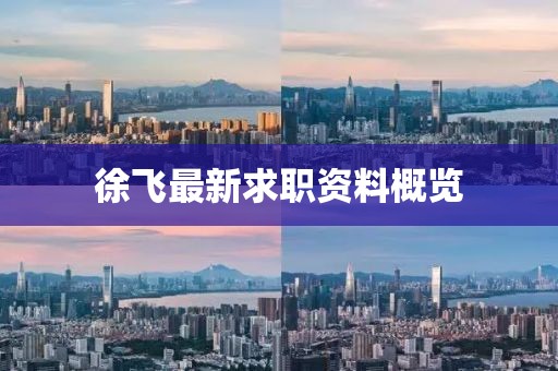 徐飞最新求职资料概览