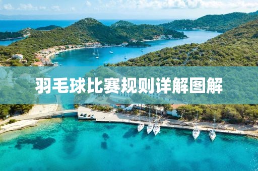 羽毛球比赛规则详解图解