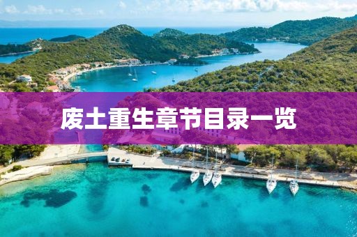 废土重生章节目录一览
