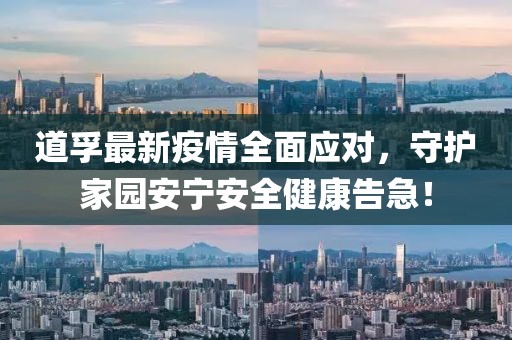 道孚最新疫情全面应对，守护家园安宁安全健康告急！
