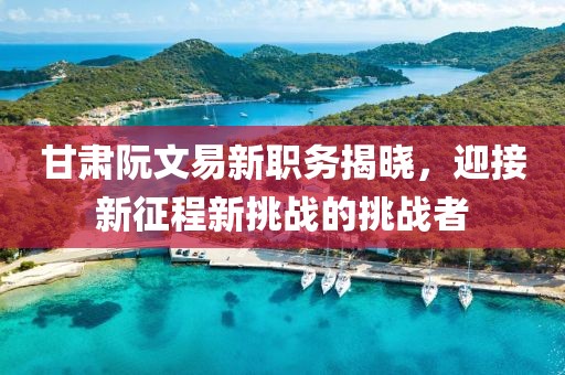 甘肃阮文易新职务揭晓，迎接新征程新挑战的挑战者