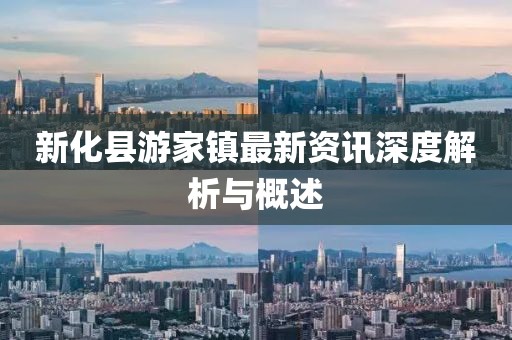 新化县游家镇最新资讯深度解析与概述
