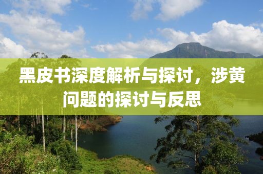 黑皮书深度解析与探讨，涉黄问题的探讨与反思