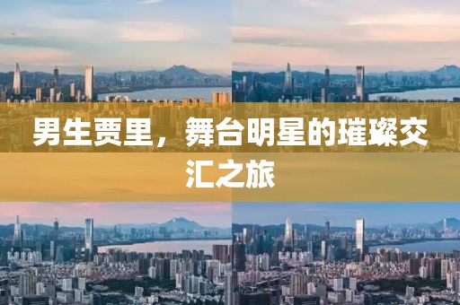男生贾里，舞台明星的璀璨交汇之旅