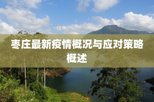 枣庄最新疫情概况与应对策略概述
