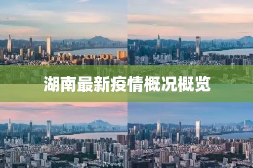 湖南最新疫情概况概览