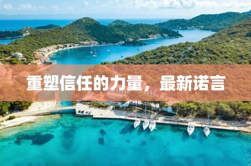 重塑信任的力量，最新诺言