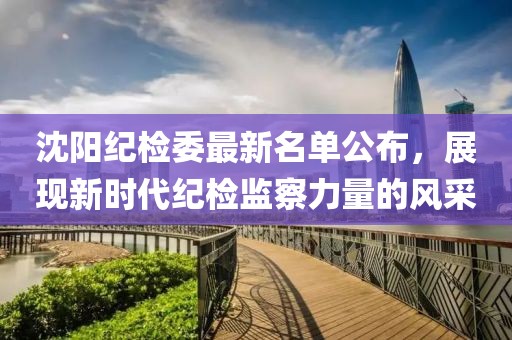 沈阳纪检委最新名单公布，展现新时代纪检监察力量的风采