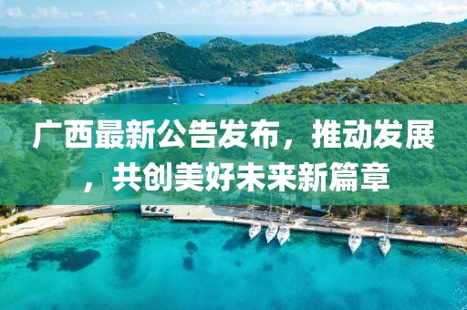 广西最新公告发布，推动发展，共创美好未来新篇章