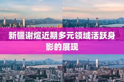 新疆谢煊近期多元领域活跃身影的展现