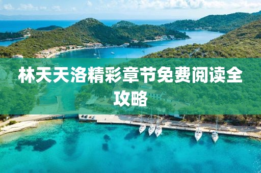 林天天洛精彩章节免费阅读全攻略