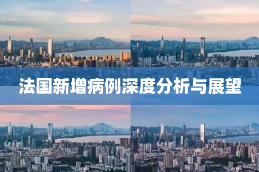 法国新增病例深度分析与展望