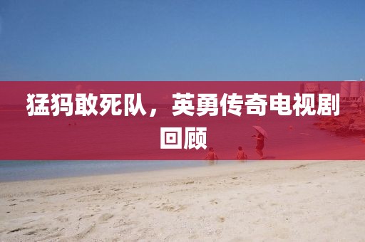 猛犸敢死队，英勇传奇电视剧回顾