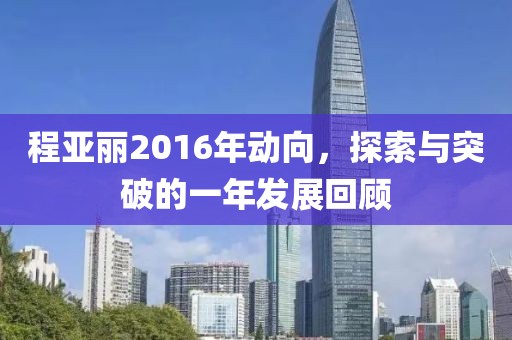 程亚丽2016年动向，探索与突破的一年发展回顾