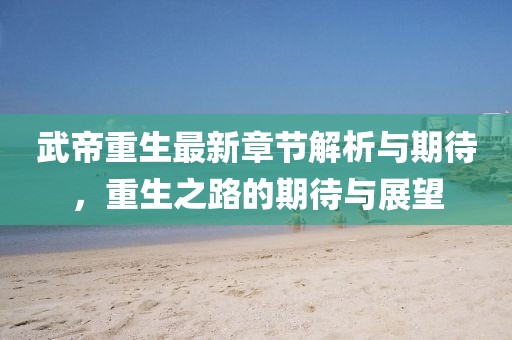 武帝重生最新章节解析与期待，重生之路的期待与展望