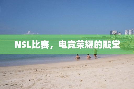 NSL比赛，电竞荣耀的殿堂