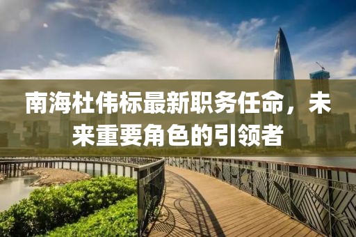 南海杜伟标最新职务任命，未来重要角色的引领者